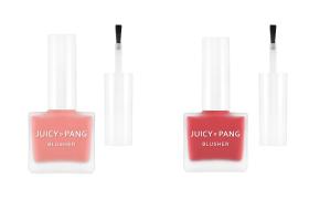 A'pieu Best Blusher Set F