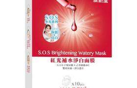 HALOCK - S.O.S Masque aquatique Brigtheing - 10pièces