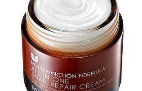 MIZON - All in One Crème réparatrice d'escargot - 75ml