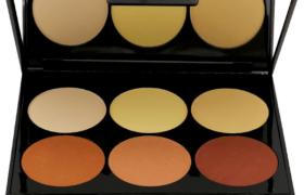 Palette contouring Parisax