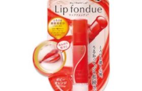 Rohto Mentholatum - Fondue à lèvres - 4.2g - Poppy Orange