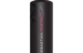 Shampooing cheveux abîmés Penetraitt Sebastian 1L
