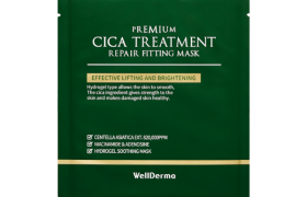 WELLDERMA - Cica Treatment Repair Masque d'ajustement - 1pièce WELLDERMA - Cica Treatment Repair Masque d'ajustement - 1pièce