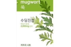 Aritaum - Fresh Power Essence Masque - 1pièce - Mugwort