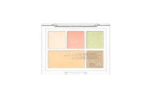 CLIO - Palette dissimulée Kill Cover Founwear - 1g x 4, 2g x 1 - 02 Delight