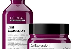 Duo shampooing & masque cheveux bouclés Curl Expression L'Oréal Professionnel
