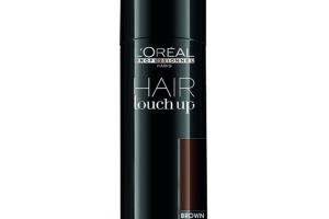 Hair Touch Up Brown