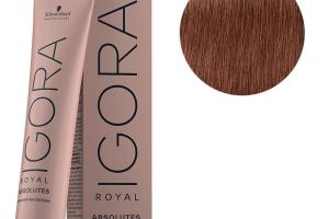 Igora Royal Absolutes Age Blend 7-560 Blond Moyen doré Marron