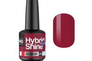 Mini Vernis Semi-Permanent Hybrid Shine Mollon Pro 8ml Wine 2/06 Mini Vernis Semi-Permanent Hybrid Shine Mollon Pro 8ml Wine 2/06