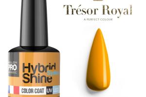 Mini vernis semi-permanent Hybrid Shine n°354 Dijon Tresor Royal Mollon Pro 8ML