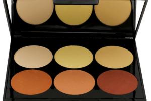 Palette contouring Parisax