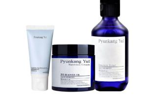Pyunkang Yul Set de Champion
