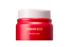 The Saem - Urban Eco Crème Waratah - 50ml