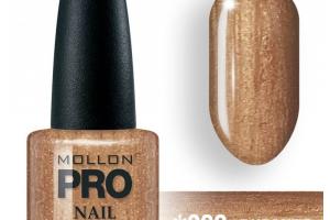 Vernis Classique 15 ml Mollon Pro - n°299