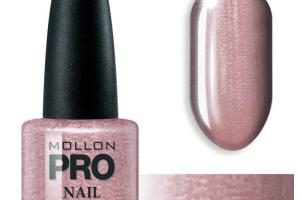 Vernis Classique 15 ml Mollon Pro - n°306