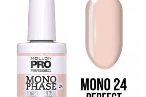 Vernis Monophase n°24 Perfect Proposal uv/led Mollon Pro 10ML Vernis Monophase n°24 Perfect Proposal uv/led Mollon Pro 10ML