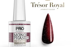 Vernis Monophase n°46 Bordeaux Red uv/led Mollon Pro 10ML Vernis Monophase n°46 Bordeaux Red uv/led Mollon Pro 10ML