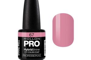 Vernis Semi-Permanent Hybrid Shine Mollon Pro 15ml Rose Borbon - 67 Vernis Semi-Permanent Hybrid Shine Mollon Pro 15ml Rose Borbon - 67