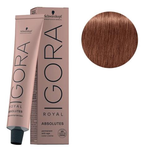 Igora Royal Absolutes Age Blend 7-560 Blond Moyen doré Marron